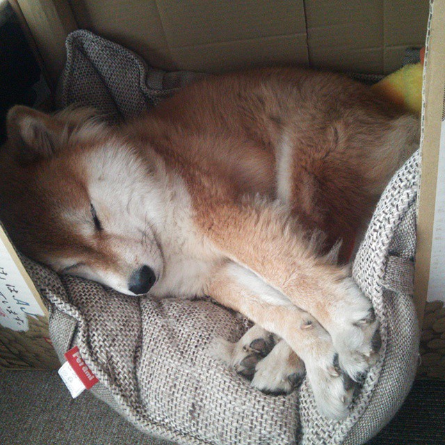 爱游戏在线-新王举旗，汉密尔顿扛起迈凯轮，法拉利力克雷诺车队登顶