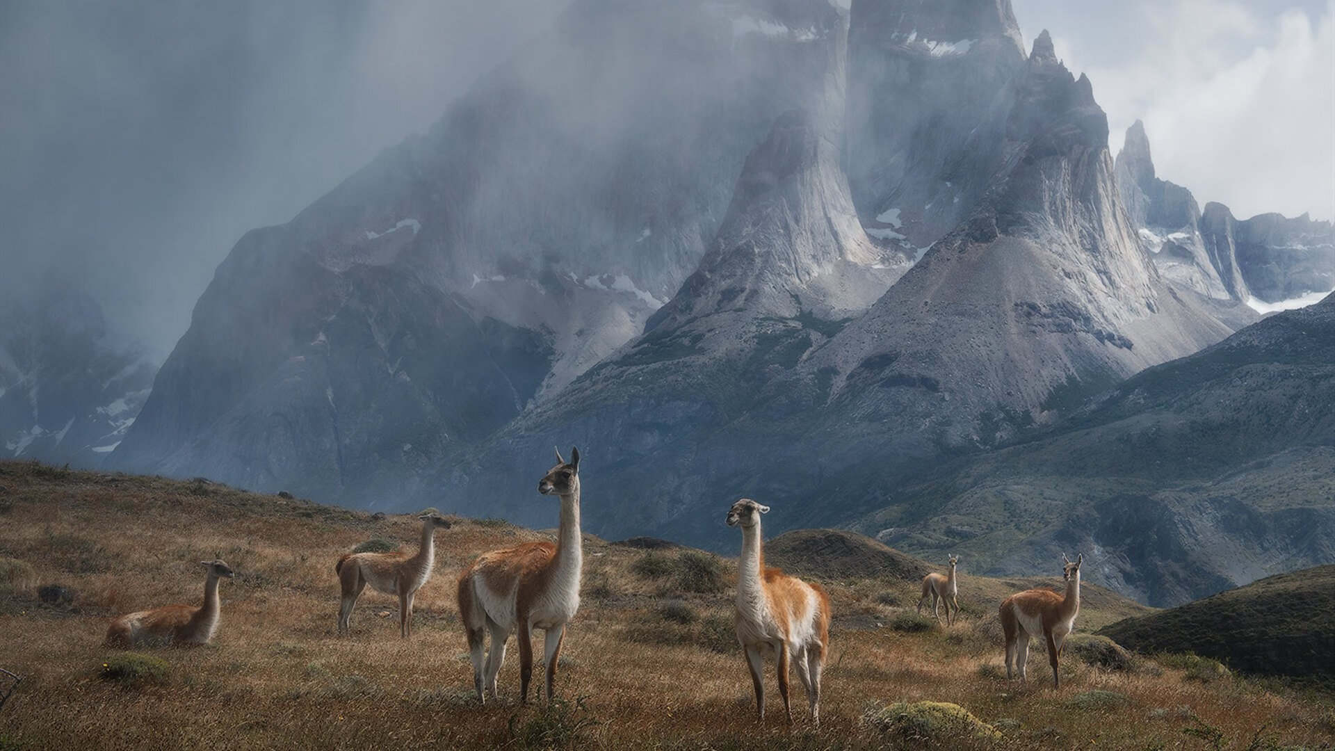 灵魂鼓点对沉默的火山，塞内加尔与玻利维亚的足球史诗