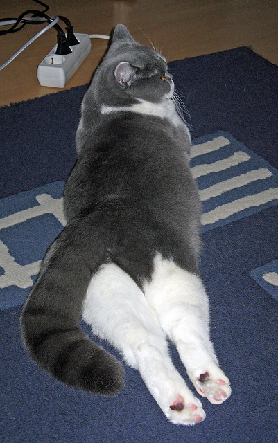 舞台即疆域，当锡安在排名之夜的熔炉中加冕