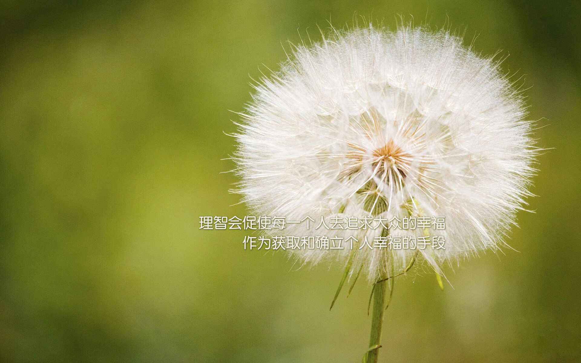 辽宁王朝一步之棋，东契奇成为关键先生，提前终结北京王朝悬念