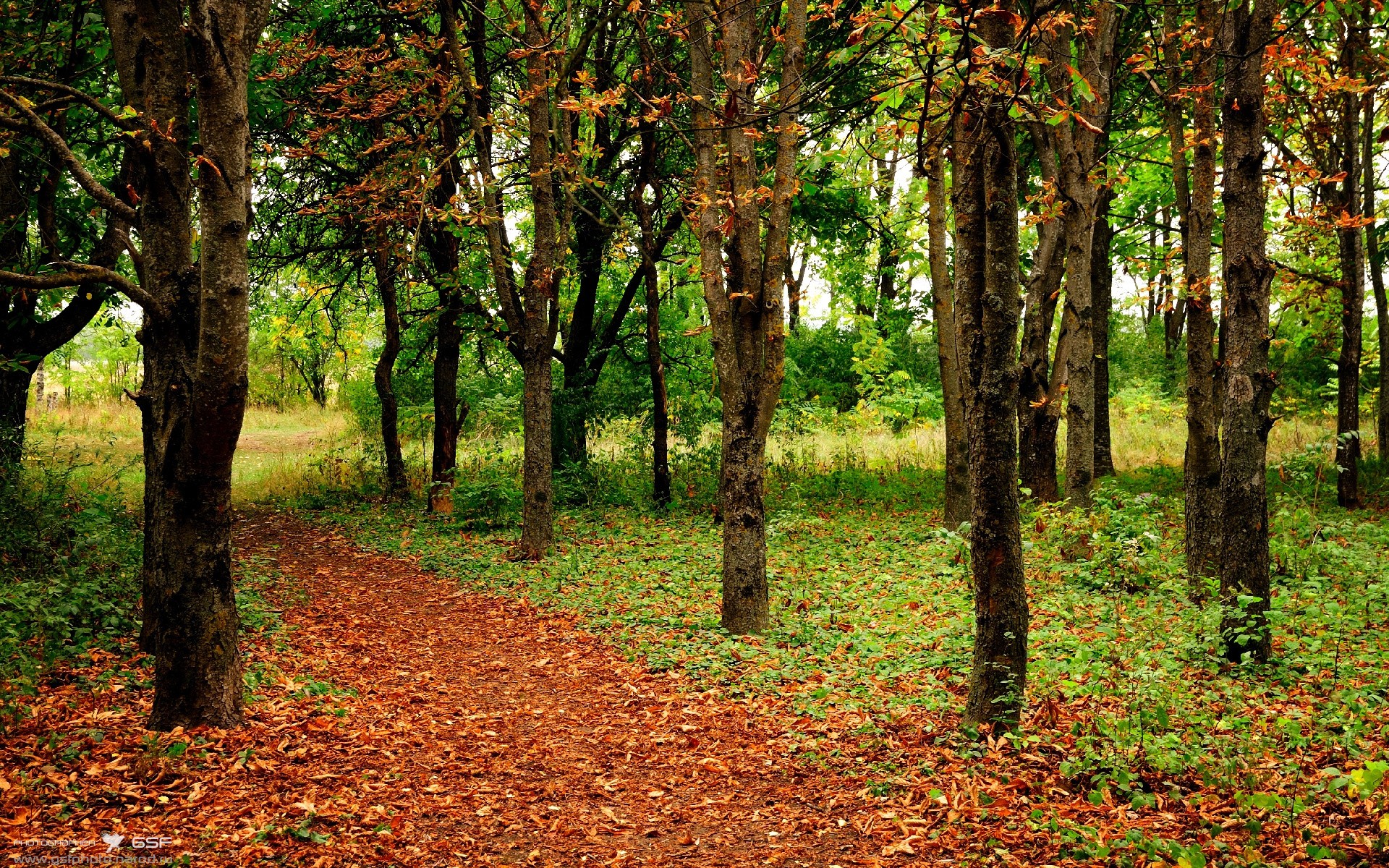 欧冠淘汰赛之夜，当贝恩的数据表成为现代篮球的极致诗篇