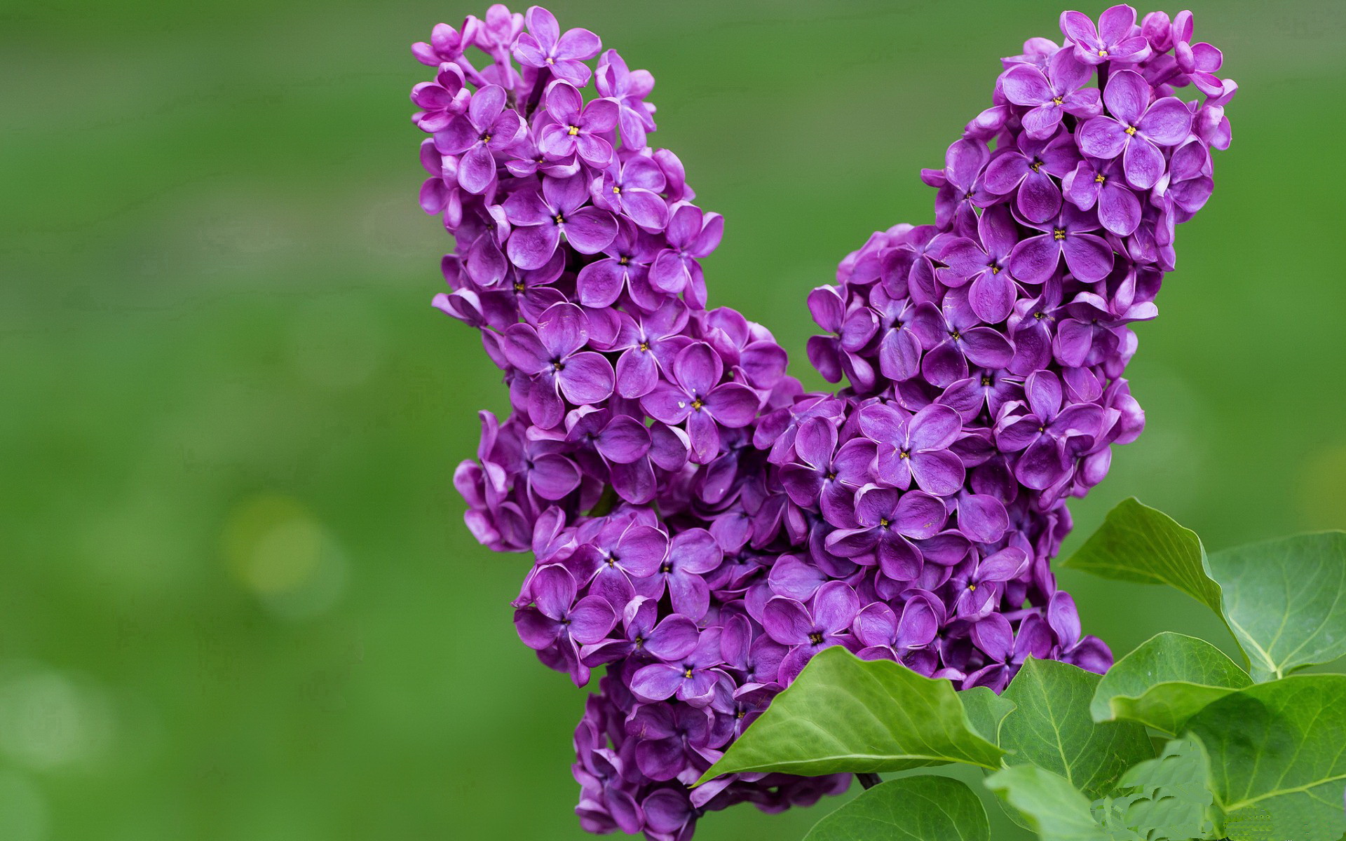 双城记，从盐湖城到慕尼黑，两个火星时刻的隔空交响