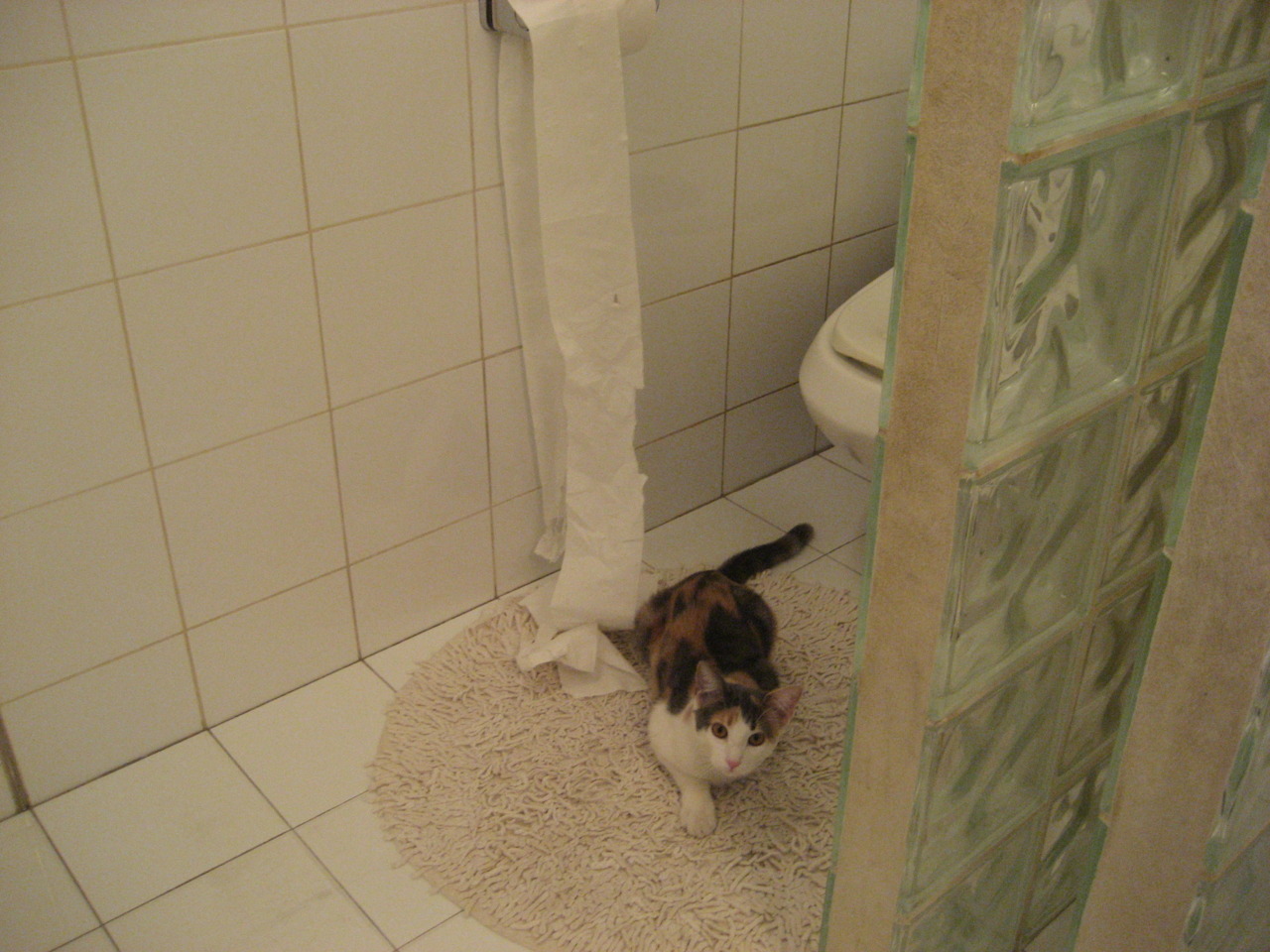 爱游戏官方-当北欧海盗披上红魔战袍，卡拉斯科爆发，助挪威生死战逆袭爱尔兰