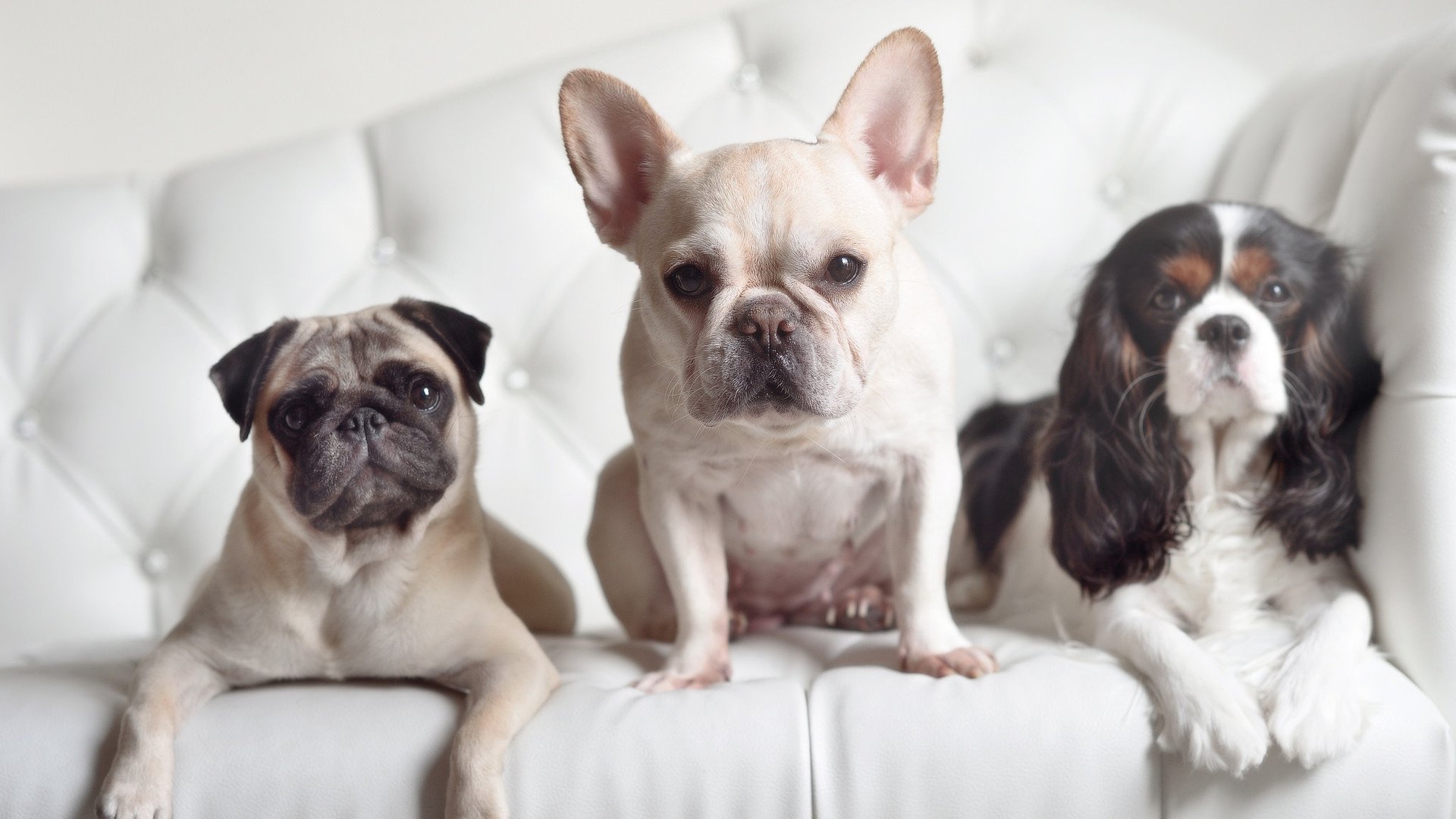 苍穹之矛刺破长夜，文班亚马在年度焦点之战的封神瞬间