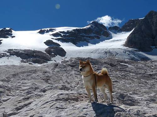 当大帝降临东方，恩比德全程高能输出，上海队如何冲垮雄鹿？