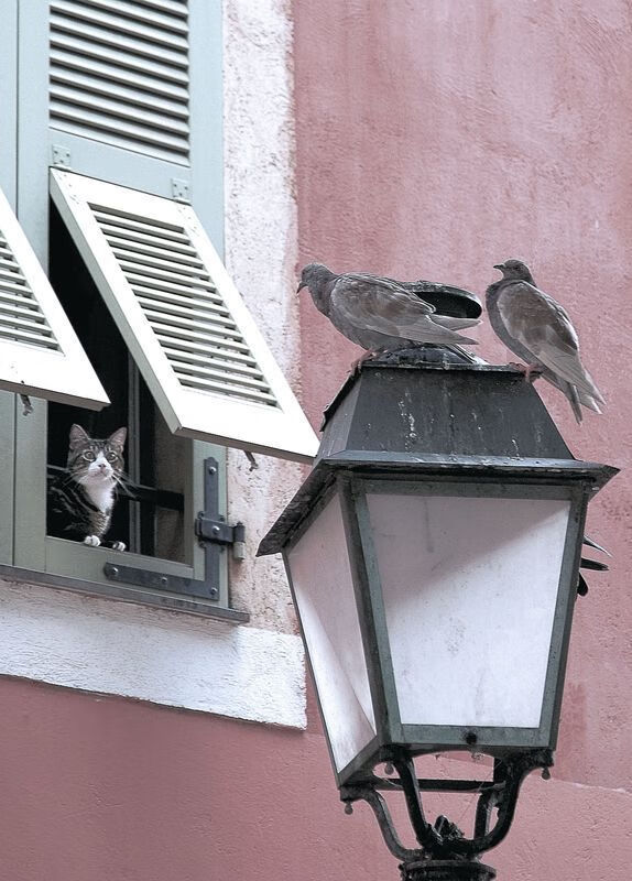 爱游戏官网-当克莱变身为顶级厨神，黄蜂主场如何为山西队烹饪一席火锅盛宴