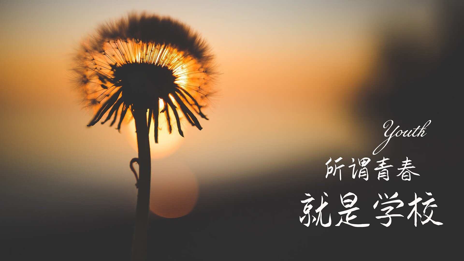 沙漠之狮的致命一击，摩洛哥中场铁幕锁死印度，哈兰德绝杀掀翻2026世界杯A组格局