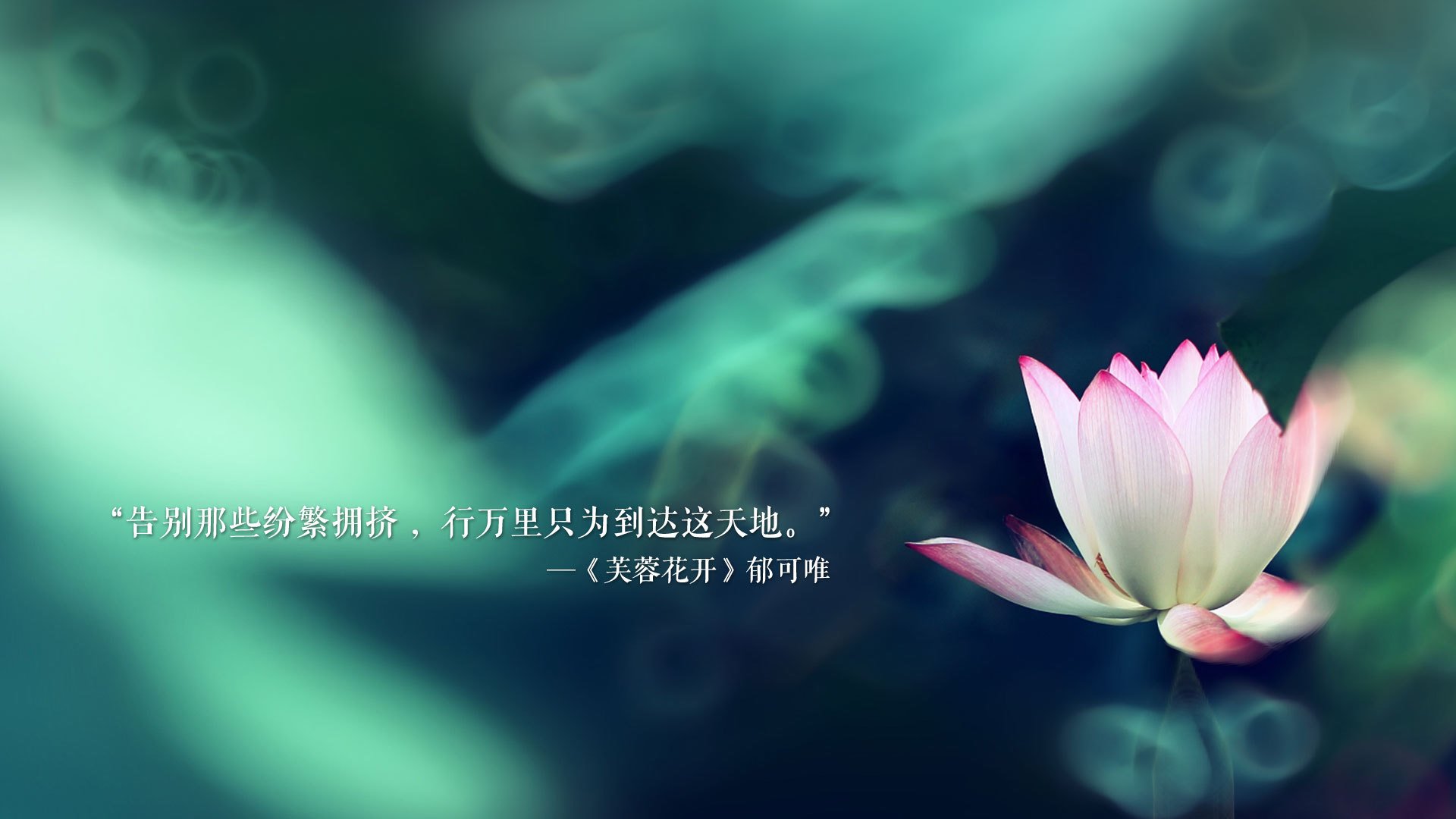 太极虎折戟红土场，喀麦隆以铁血对抗撕碎亚洲荣光，费利克斯独舞成世界杯最锋利长矛